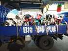 rs250 rs125 tz125