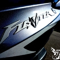 NEW FIGHTER 150