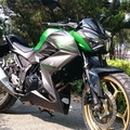 Z300