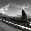 Shark Factory