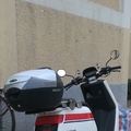 小牛