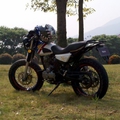 suv250