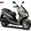 Majesty-s