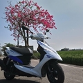Z1 生活