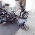 可動迅光