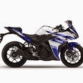 YZF-R25