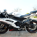 YAMAHA YZF-R6