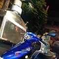 V125G與狗
