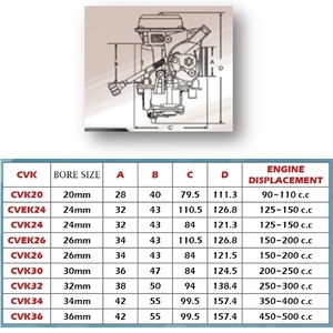 CVEK