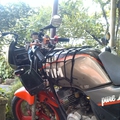 RZR135