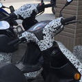 vespa sprint