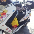 目前樣子