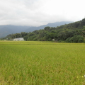 南橫 東段