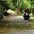 路遙知馬力