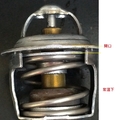 RV150 恆溫器(水龜)