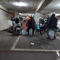 忍者龜遊花蓮