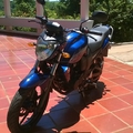 FZ 16