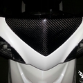 Cygnus X(2012)卡夢碳纖維 車殼
