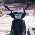 SV-MAX