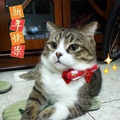 POMI