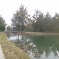 台東森林公園三湖--琵琶湖