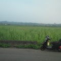 NEW  RS .