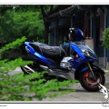 RACINGKING