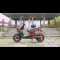 我的原廠車
