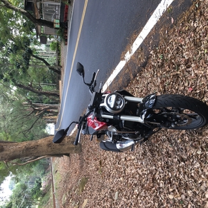 HONDA CB300R(2018~2019)