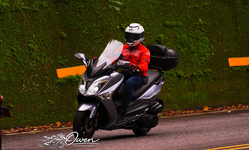 封面"VIMOTO