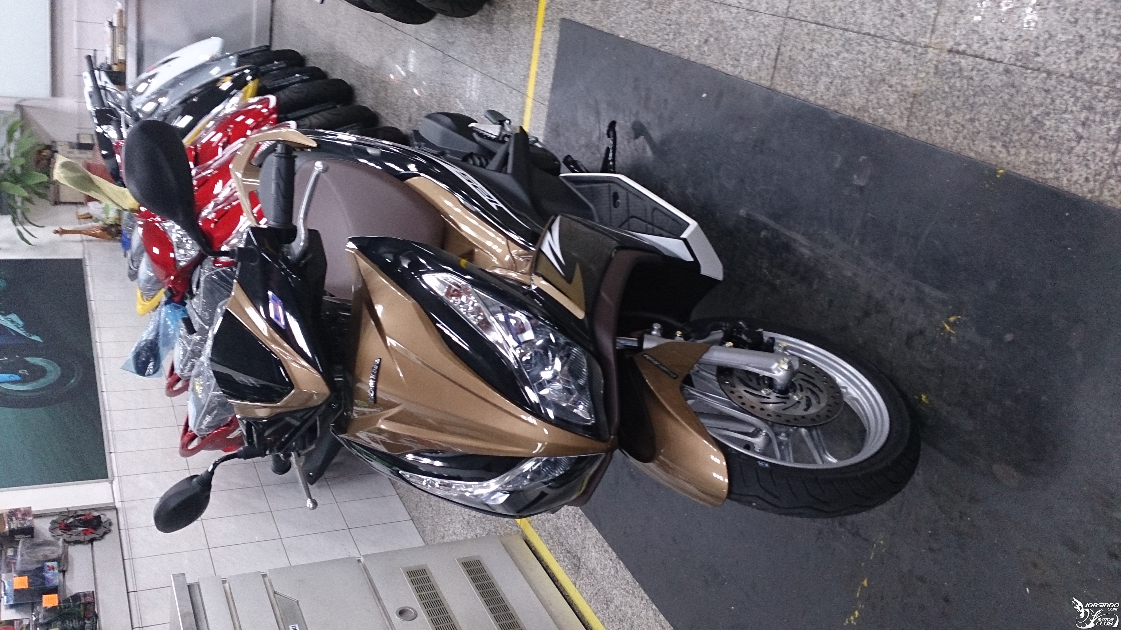 HONDA機車確定明年正式引進!!!!9477|HONDA,引進小老婆汽機車資訊網