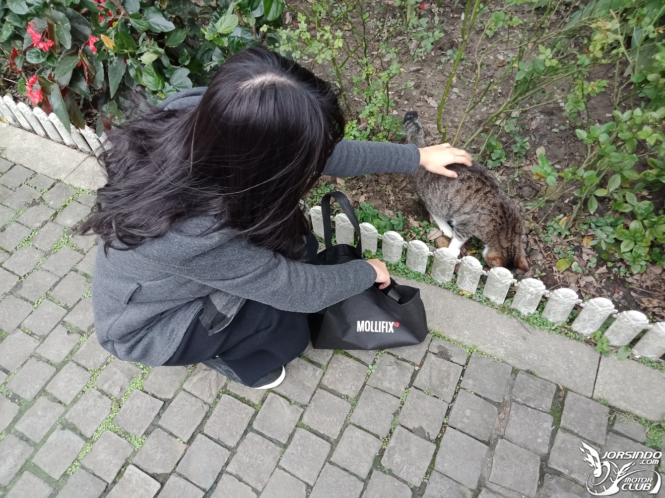 DRG長途心得x和女友的「猴硐吸貓放閃」一日遊2116|小老婆汽機車資訊網