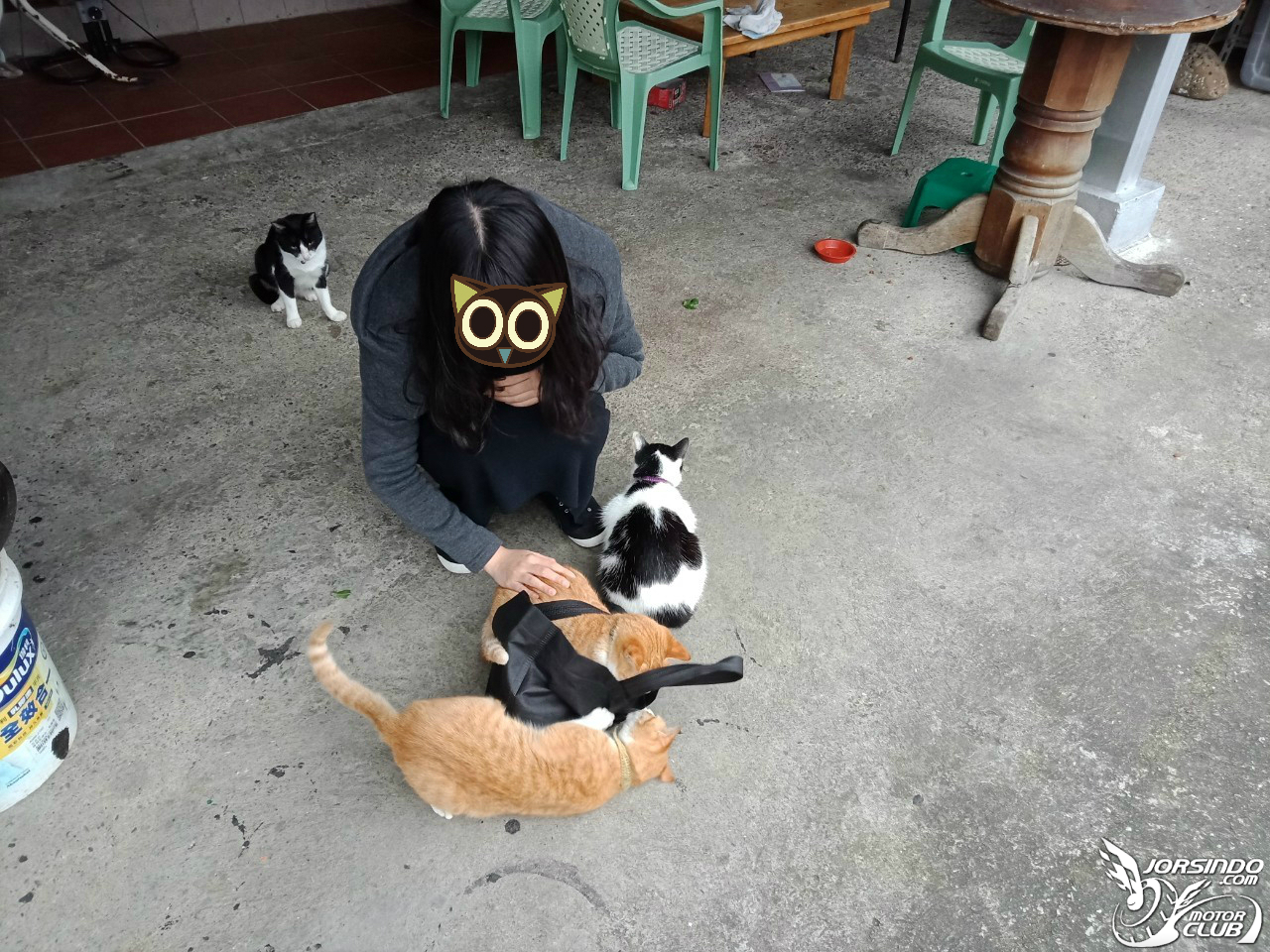 DRG長途心得x和女友的「猴硐吸貓放閃」一日遊9082|小老婆汽機車資訊網