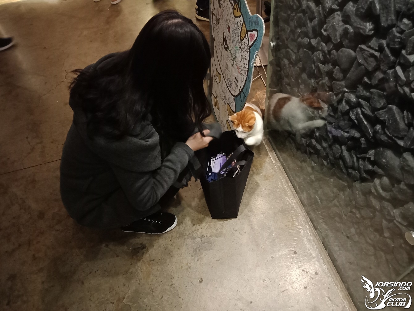 DRG長途心得x和女友的「猴硐吸貓放閃」一日遊1188|小老婆汽機車資訊網