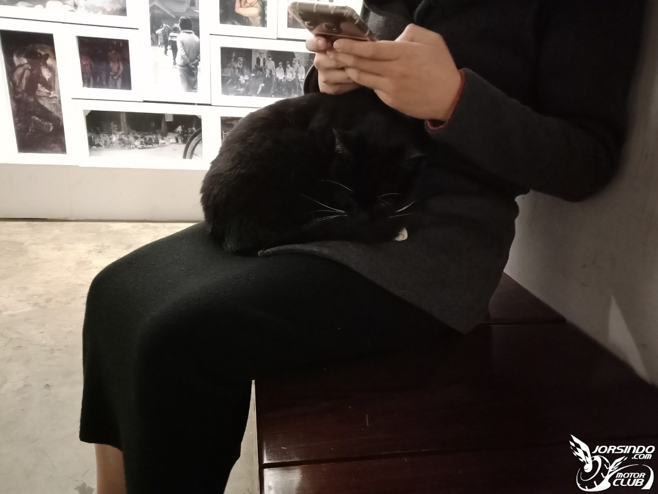 DRG長途心得x和女友的「猴硐吸貓放閃」一日遊9038|小老婆汽機車資訊網