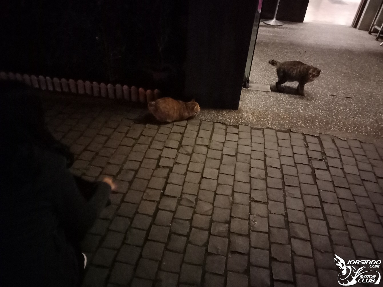 DRG長途心得x和女友的「猴硐吸貓放閃」一日遊8597|小老婆汽機車資訊網