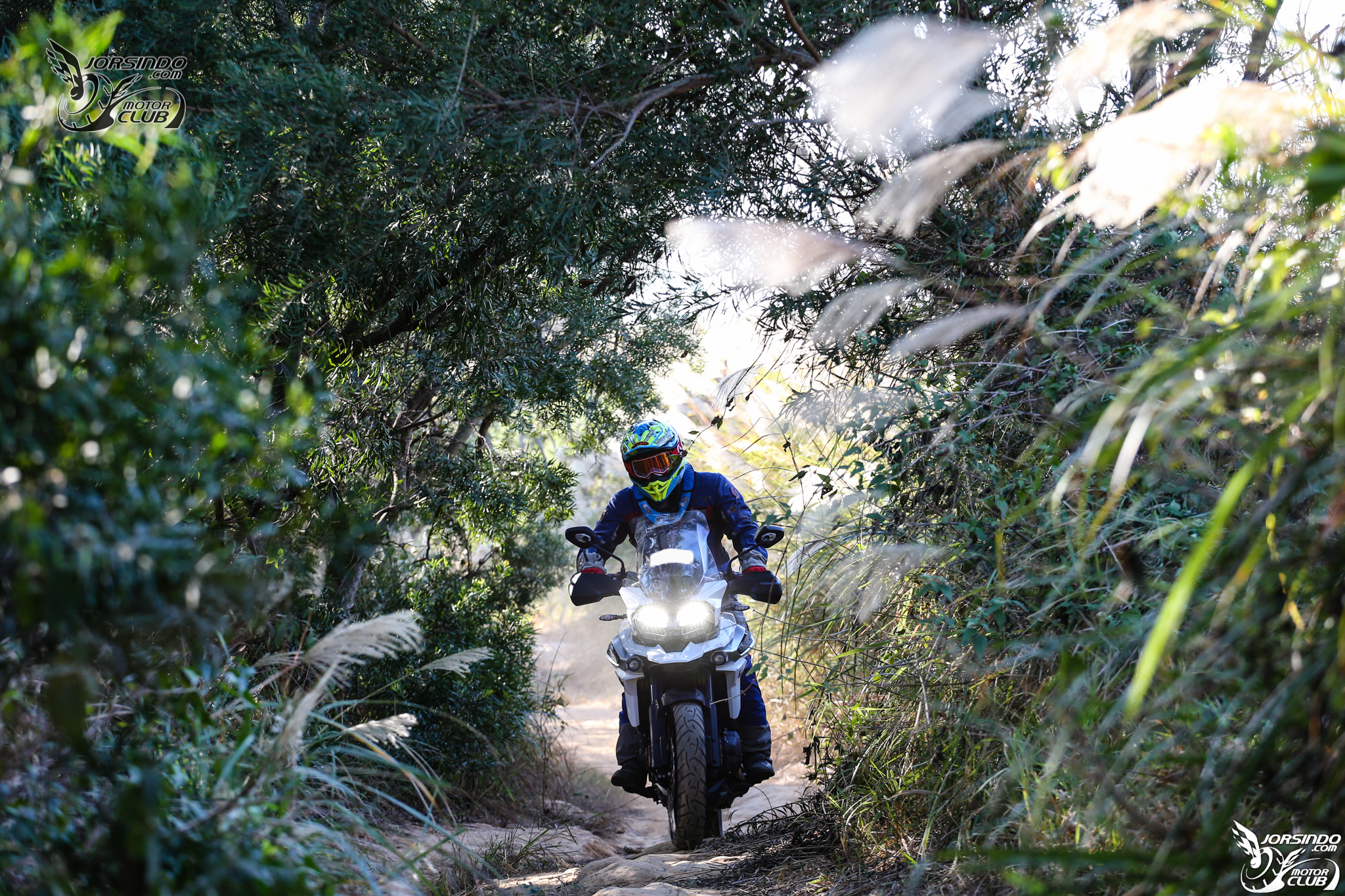 猛 虎 下 山！ 2019 TRIUMPH TIGER 1200 XRT 試乘報告9525|小老婆汽機車資訊網