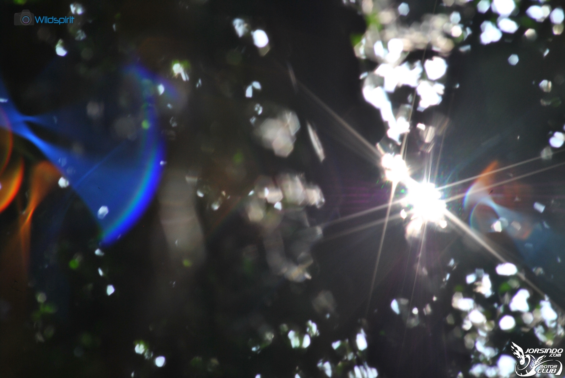 36年口袋裡的小三元【Star-D Gold Line MC 70-210mm f3.9】1333|Star-D,Gold Line,70-210mm小老婆汽機車資訊網