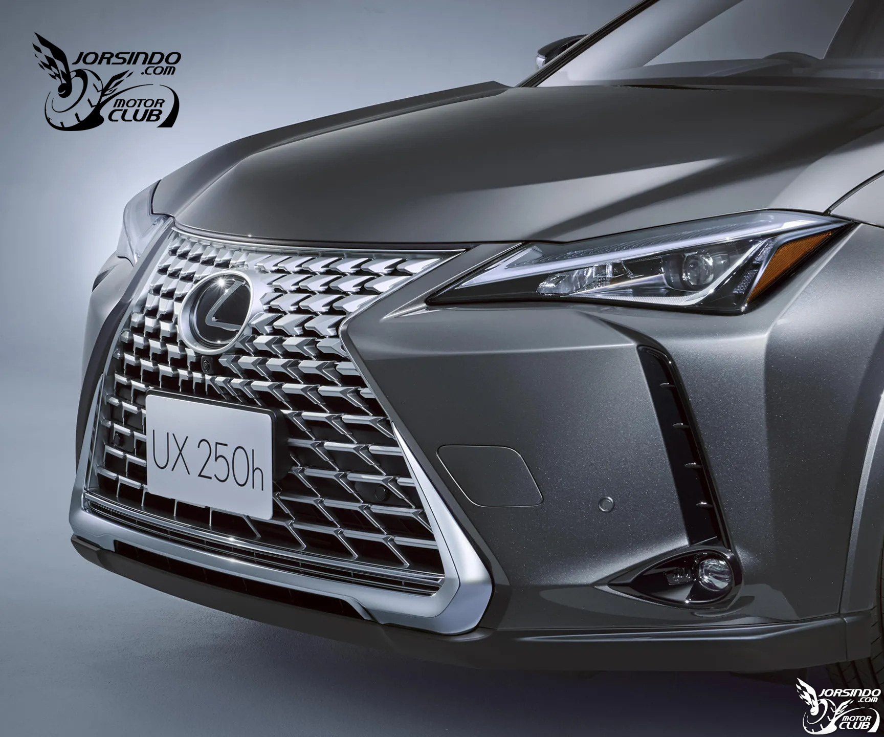 運動、高雅風任選！日本Lexus推UX兩款特仕作品3251|Lexus,小改款UX,日本市場小老婆汽機車資訊網