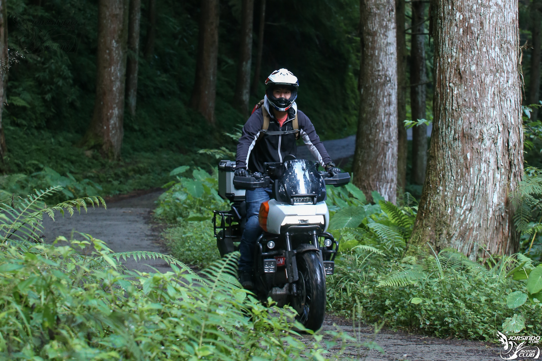 不走尋常路！哈雷 Pan America 1250 Special 羅山林道機車野營653|小老婆汽機車資訊網