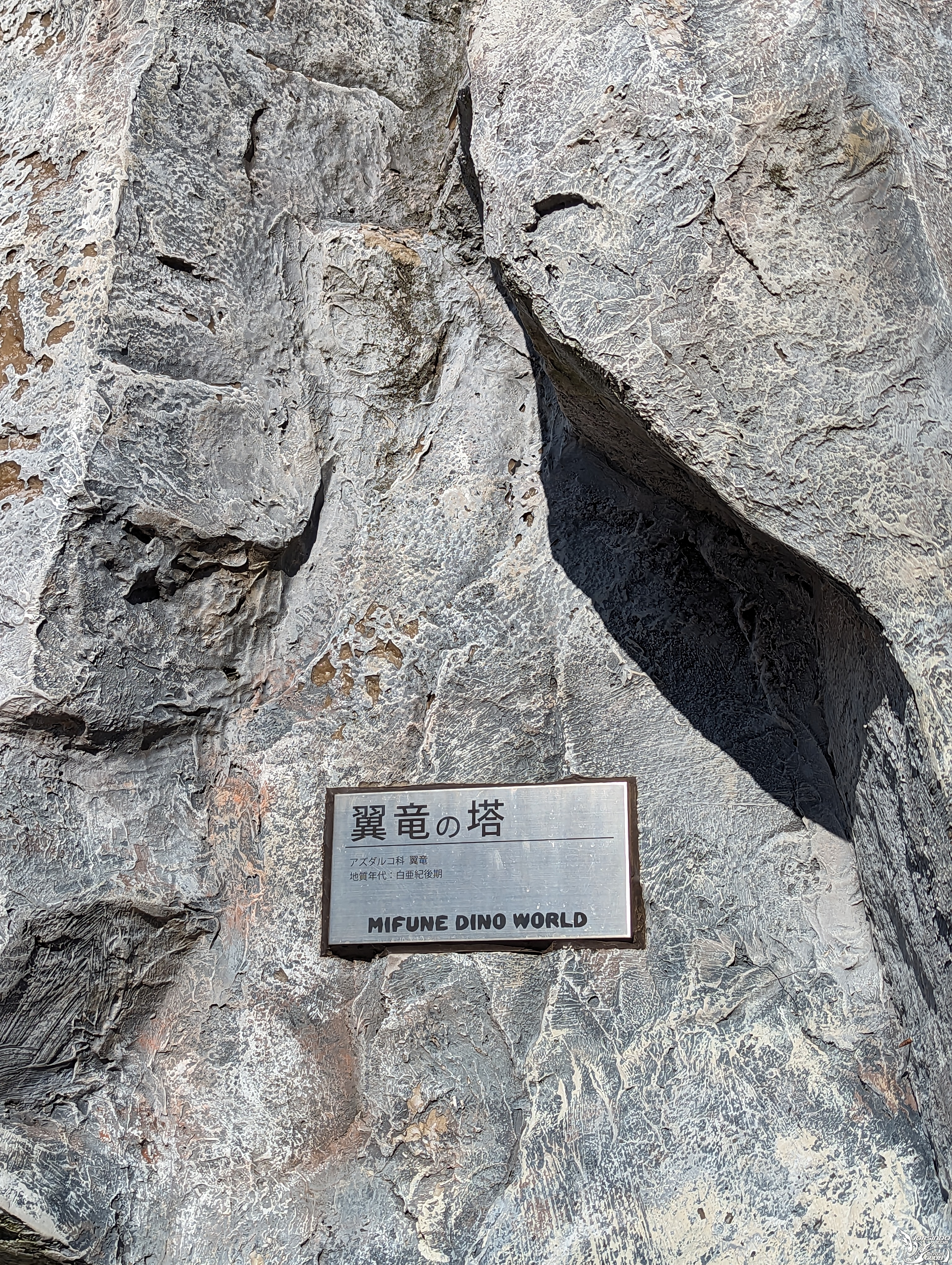 在熊本的騎幻旅程(二) 海賊王銅像收集之旅5168|小老婆汽機車資訊網