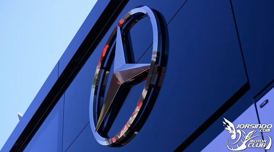 Mercedes 與Chestnut Carbon合作恢復森林支持生物多樣性6331|小老婆汽機車資訊網