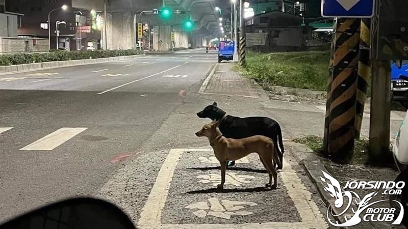 [轉貼]台南交通死亡大降14.2% 取消 禁行機車 今年全面擴大1329|小老婆汽機車資訊網