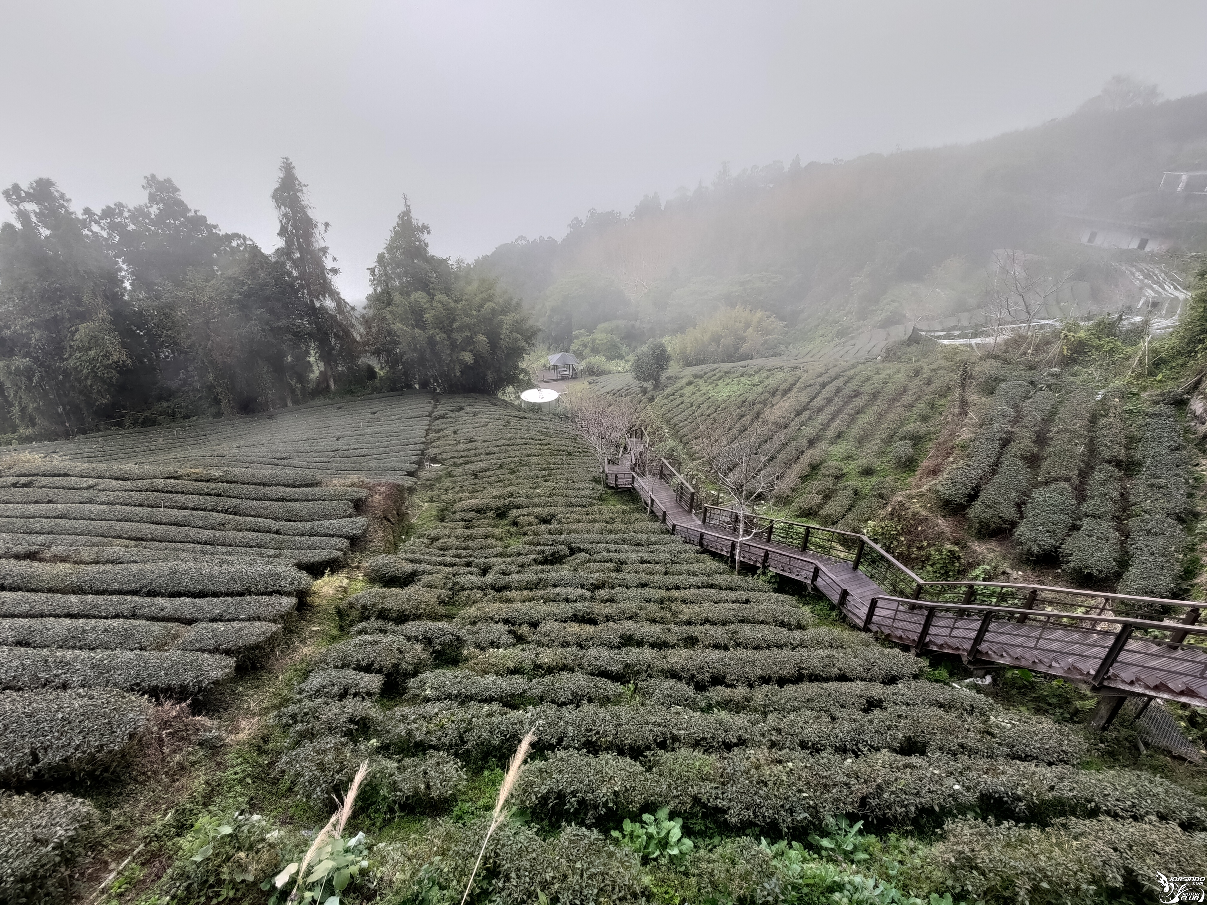 19th 走！去騎摩托車吧！Majesty 125 出廠20年紀念五天四夜環島1884|小老婆汽機車資訊網