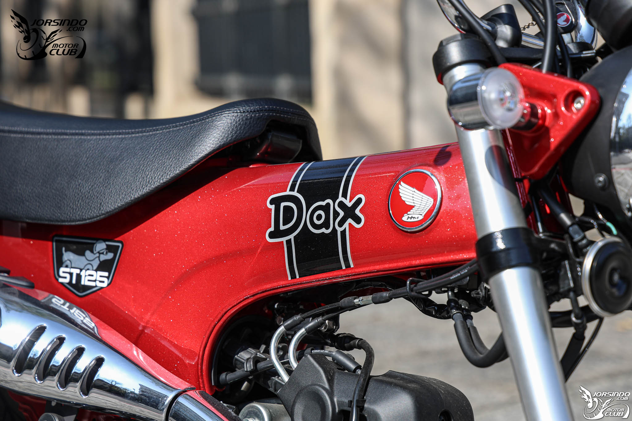 狗狗狒狒大冒險！CFMOTO Papio XO-2 與 Honda DAX 125 試駕報告5363|小老婆汽機車資訊網