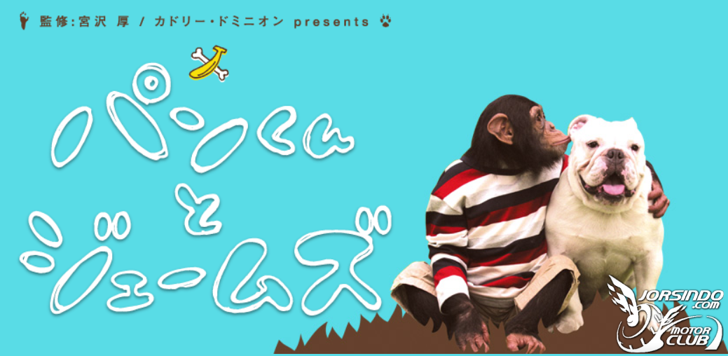 狗狗狒狒大冒險！CFMOTO Papio XO-2 與 Honda DAX 125 試駕報告4497|小老婆汽機車資訊網