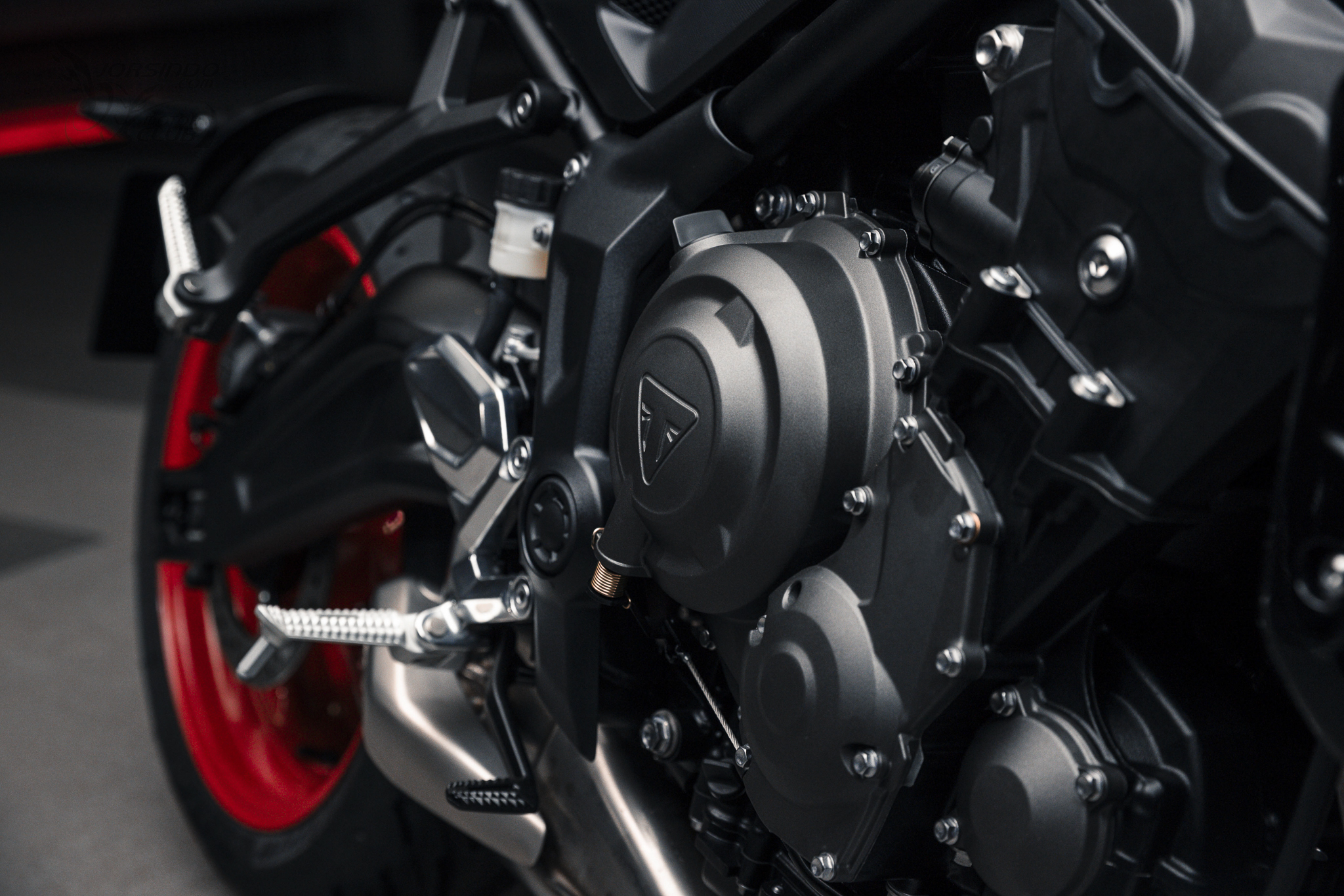 電控升級、新色亮相！2025 Triumph Trident 660 Tribute 發表8443|triumph,trident,三缸,特仕版,街車小老婆汽機車資訊網