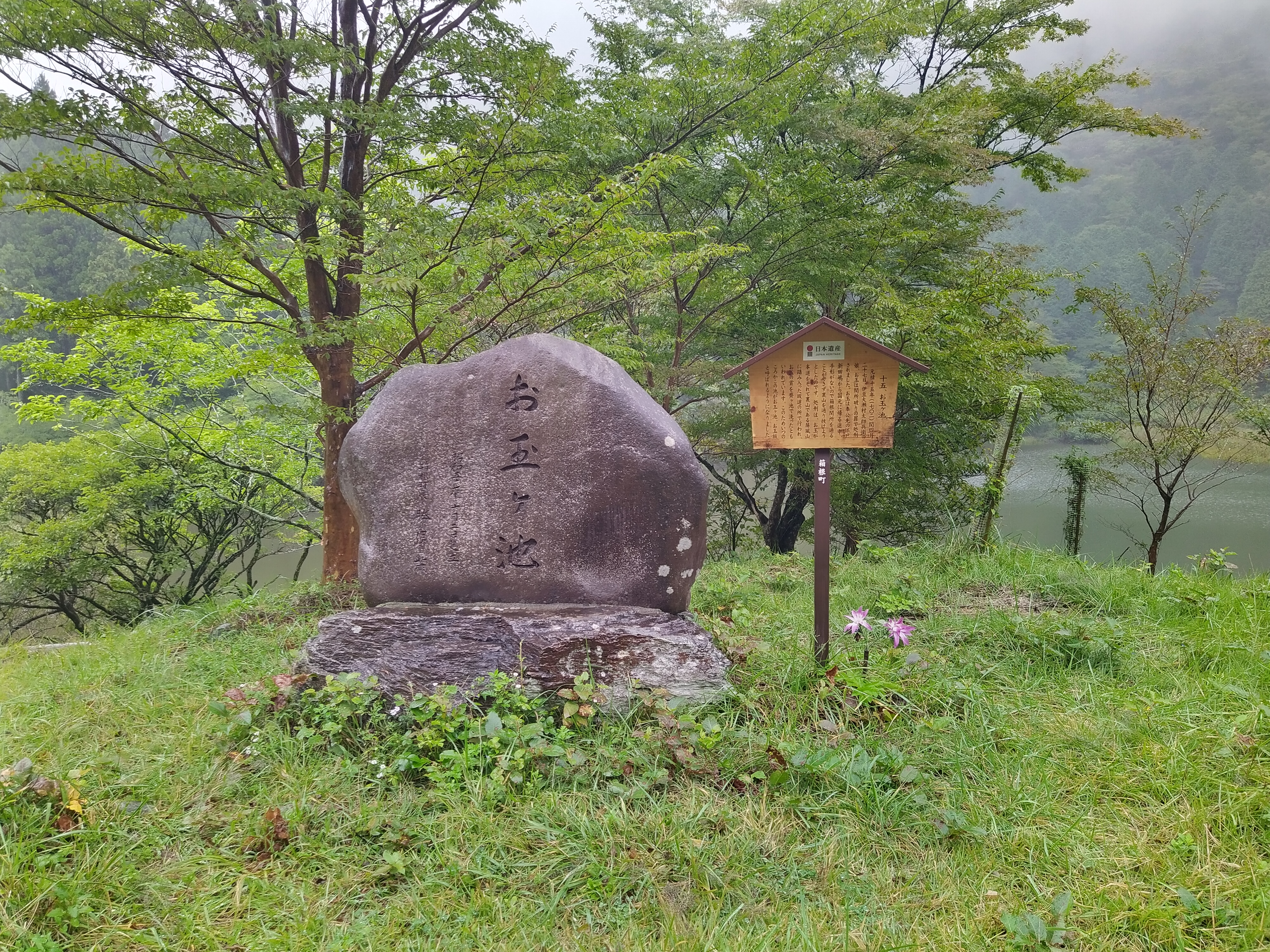 【頭文字D-聖地巡禮】Stage14-神奈川-七曲&amp;遊記1594|小老婆汽機車資訊網