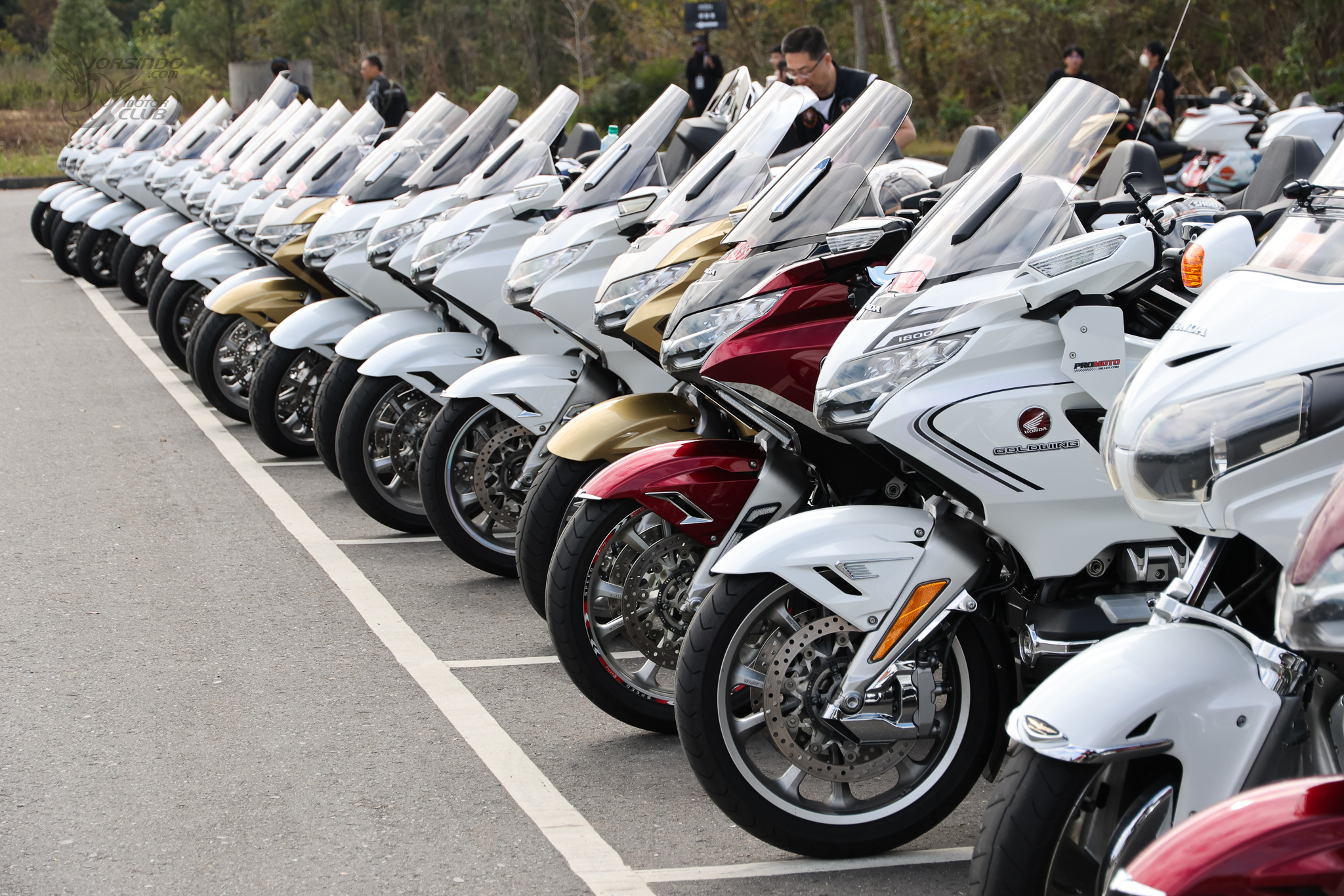 超過 800 位車主集結！2025 Honda Riders Day 南投向山熱血登場9903|小老婆汽機車資訊網