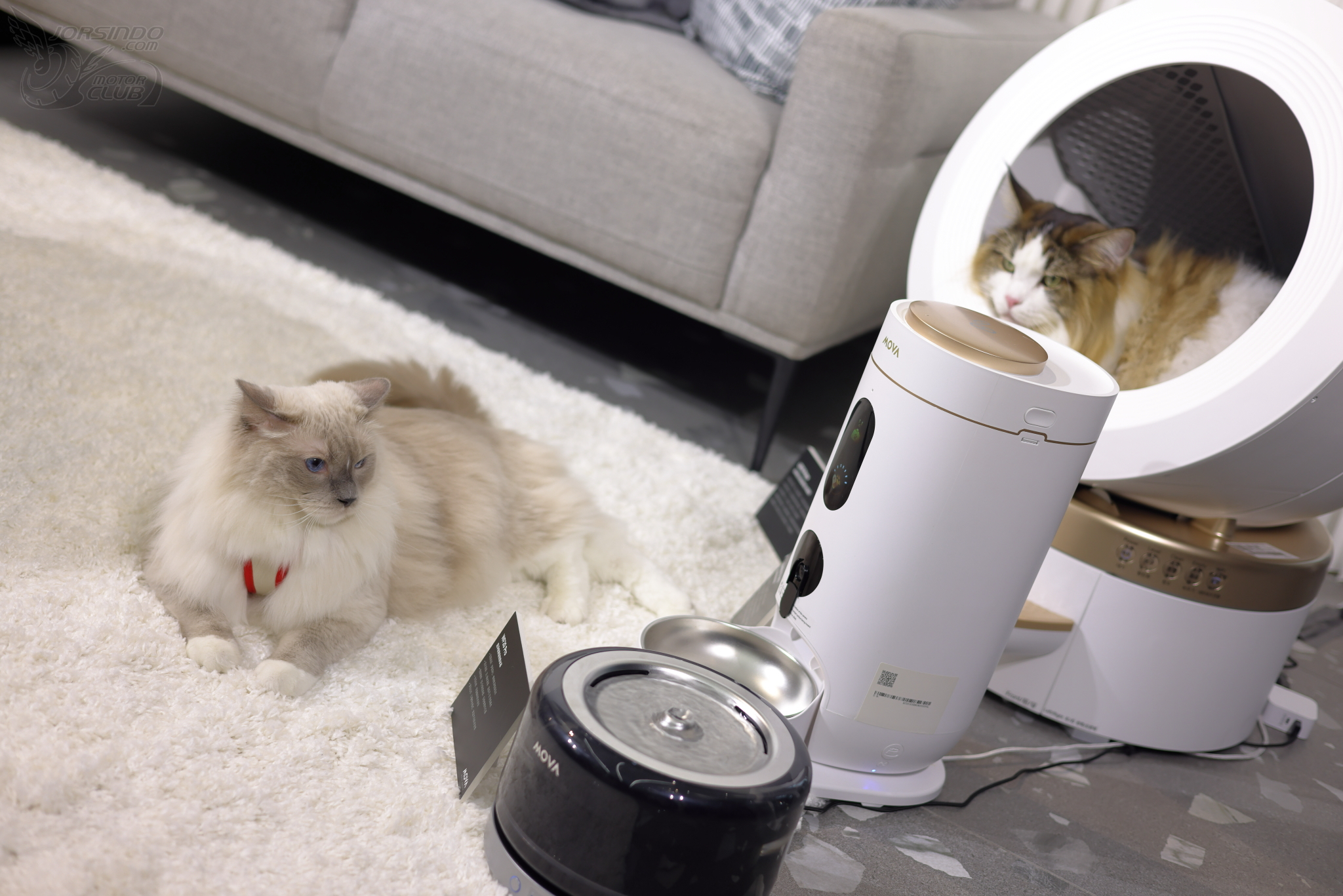 恆隆行獨家代理AI智慧家電MOVA！8大清潔與寵物新品重磅登台7166|恆隆行,MOVA,掃拖機器人,掃地機器人,智慧寵物家電小老婆汽機車資訊網